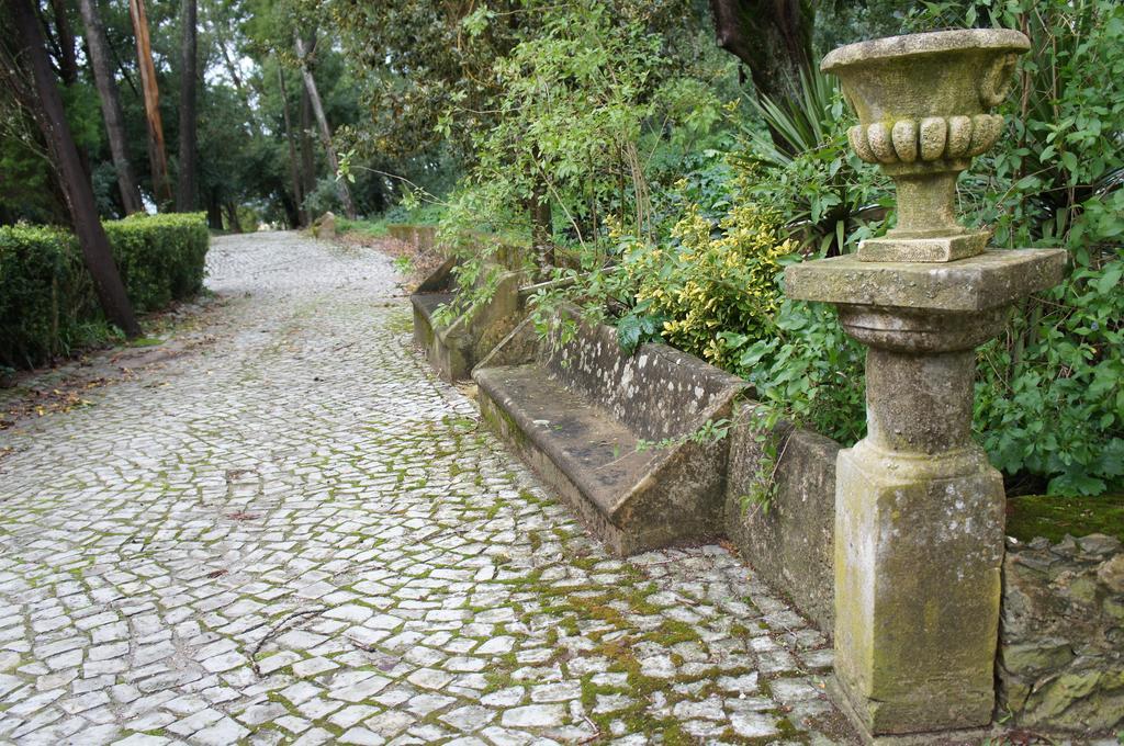 Quinta Do Convento Hotel Vila Verde dos Francos Eksteriør billede